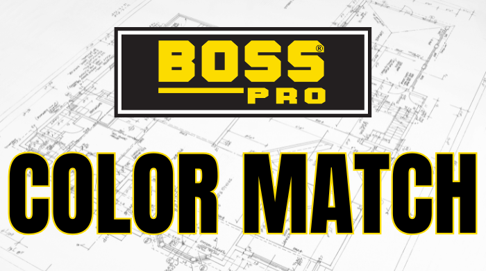 BOSS Color Match